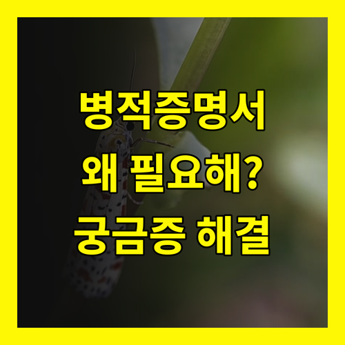 병적증명서 발급, 왜 필요할까? 모든 궁금증 해결!